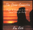 Divine Connection:<br><i>Prayer & Scriptures to Create a Sacred Space for Healing </i><br>