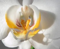 Poetry & Spirituality TeleService-with Joe Alfieri & Paul Funfsinn 7:00pm CST